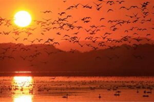 Pulau Kalong dengan Sunset yang Menawan