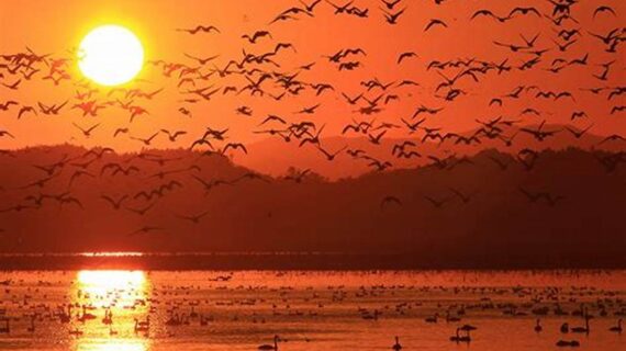 Pulau Kalong dengan Sunset yang Menawan